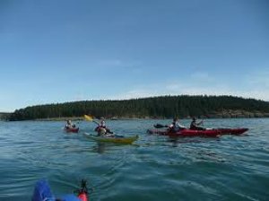 画像1:  Alder Creek Kayak & Canoe 【カヤック・カヌー】