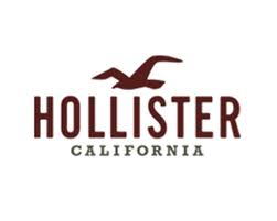 画像1: HOLLISTER CO.(ホリスター）